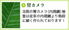 胃カメラ